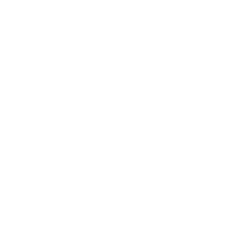 BRANDQODE PIN LOGO